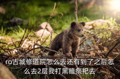 ro古城修道院怎么去还有到了之后怎么去2层我打黑暗祭祀去