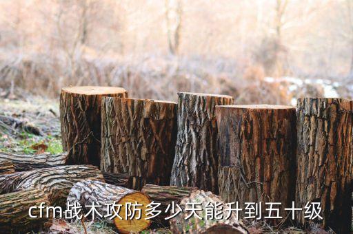 cfm战术攻防多少天能升到五十级