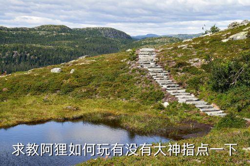 求教阿狸如何玩有没有大神指点一下