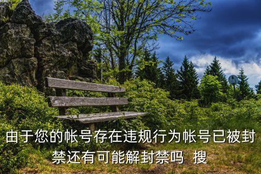 由于您的帐号存在违规行为帐号已被封禁还有可能解封禁吗  搜