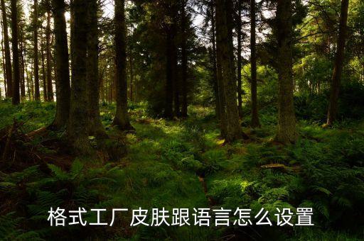 英雄联盟手游皮肤语音怎么设置，英雄联盟台词音效怎么加大