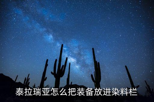 泰拉瑞亚怎么把装备放进染料栏