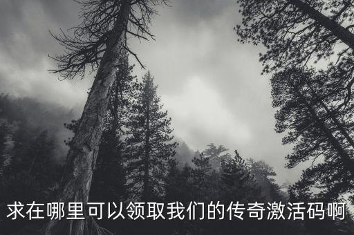 求在哪里可以领取我们的传奇激活码啊