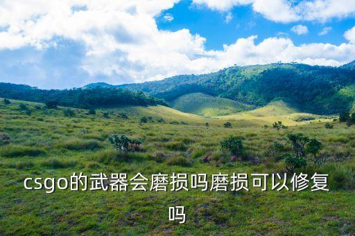 生死狙击手游皮肤磨损怎么办，csgo的武器会磨损吗磨损可以修复吗