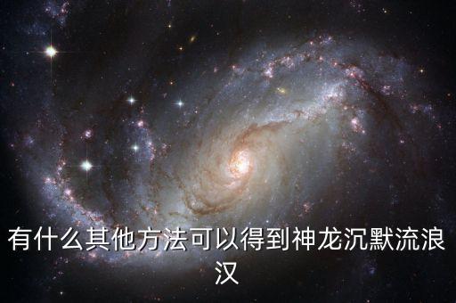 有什么其他方法可以得到神龙沉默流浪汉