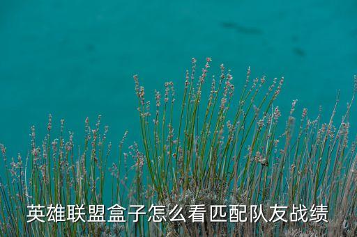 英雄联盟盒子怎么看匹配队友战绩