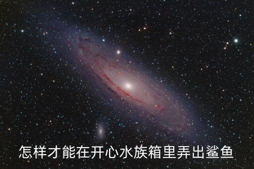 怎样才能在开心水族箱里弄出鲨鱼