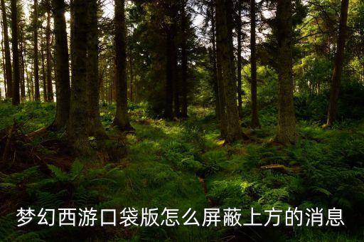 梦幻手游怎么屏蔽周围所有窗口，梦幻西游口袋版怎么屏蔽上方的消息
