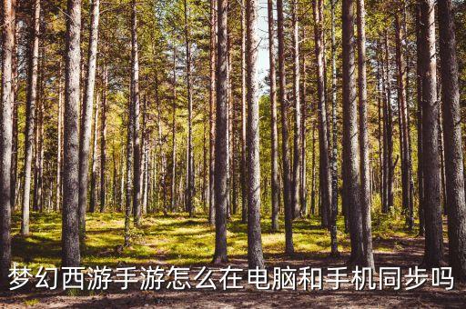梦幻手游怎么和电脑同角色，梦幻西游手游怎么电脑和手机同步吗