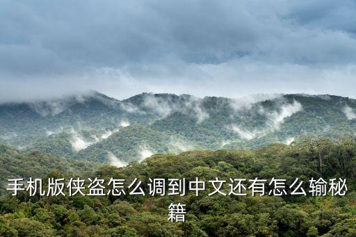 手机版侠盗怎么调到中文还有怎么输秘籍