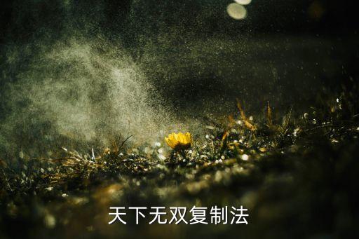 天下无双复制法