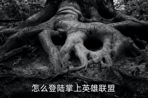 怎么登陆掌上英雄联盟