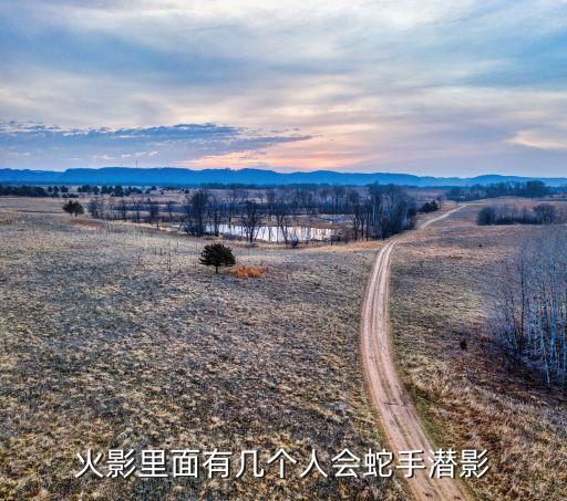 火影里面有几个人会蛇手潜影