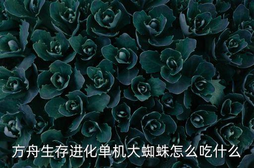 方舟生存进化单机大蜘蛛怎么吃什么