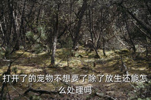 打开了的宠物不想要了除了放生还能怎么处理吗
