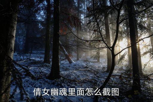 倩女幽魂手游怎么发截图，倩女幽魂 游戏截图在哪