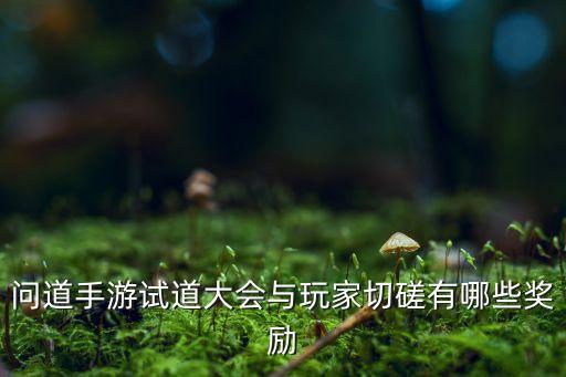 问道手游试道大会与玩家切磋有哪些奖励