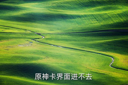 元神手游怎么进不去了，游戏怎么进不了求助急