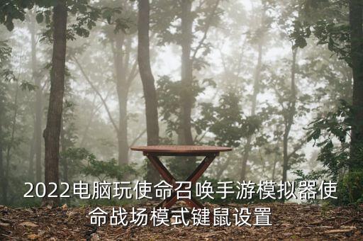 使命召唤手游在电脑怎么操作，2022电脑玩使命召唤手游模拟器使命战场模式键鼠设置