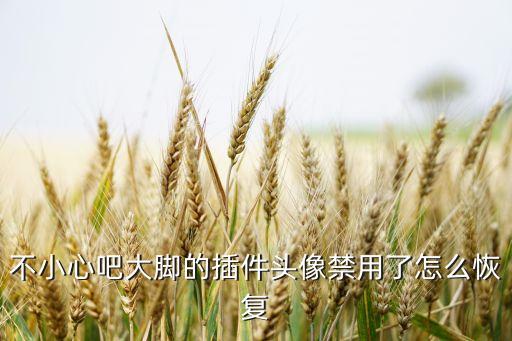 不小心吧大脚的插件头像禁用了怎么恢复