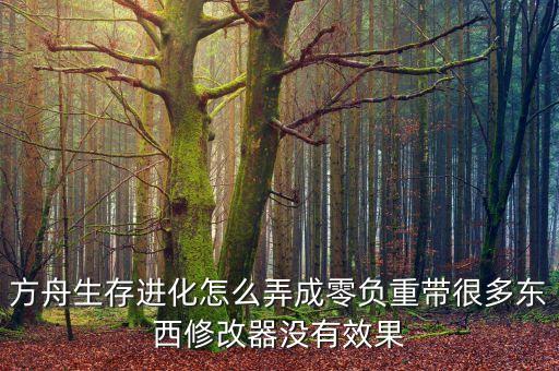 方舟手游怎么一次多带神器，方舟生存进化怎么用代码一次刷几组物品