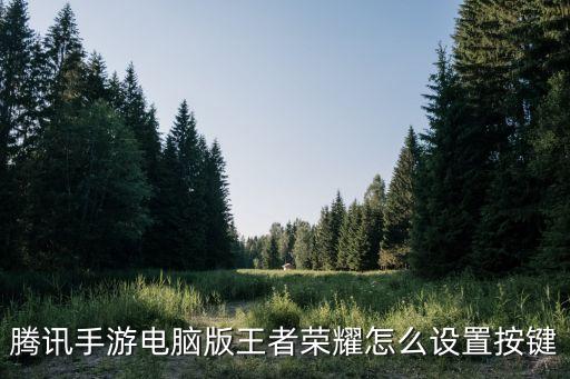 腾讯手游电脑版王者荣耀怎么设置按键