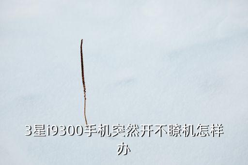 3星i9300手机突然开不瞭机怎样办