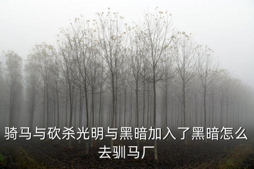 骑马与砍杀光明与黑暗加入了黑暗怎么去驯马厂