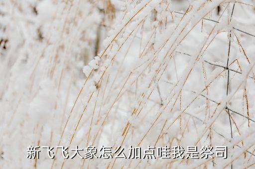 新飞飞大象怎么加点哇我是祭司