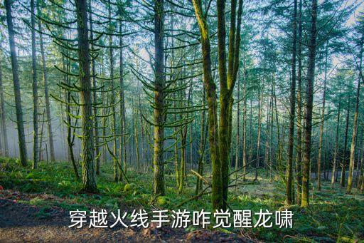 cf手游里m4a1点音怎么觉醒，m4a1电音觉醒石怎么获得多少钻石