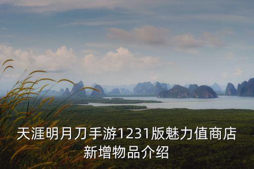 天涯明月刀手游1231版魅力值商店新增物品介绍