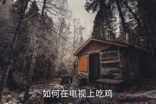 如何在电视上吃鸡