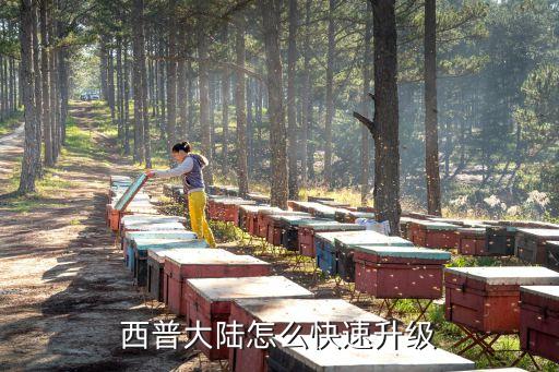 方舟手游砂矿兽怎么刷高等级，西普大陆怎么练级快