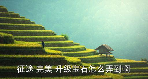 征途 完美 升级宝石怎么弄到啊