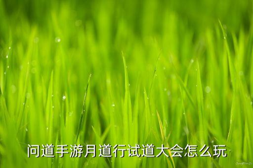 问道手游月道行试道大会怎么玩