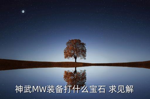 神武手游小伙伴装备宝石怎么选择，神武MW装备打什么宝石 求见解