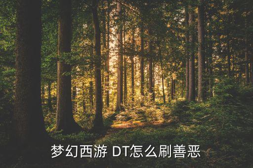 梦幻西游 DT怎么刷善恶