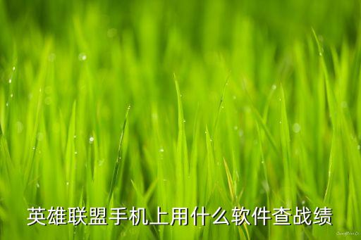 英雄联盟手机上用什么软件查战绩