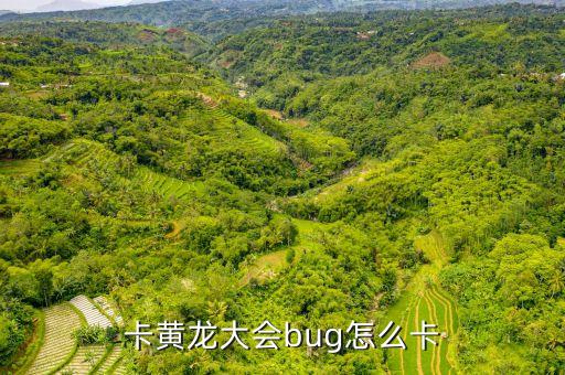仙梦奇缘手游怎么卡bug，卡黄龙大会bug怎么卡