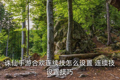 诛仙手游合欢连续技怎么设置 连续技设置技巧