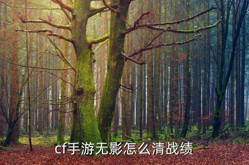 cf手游无影怎么清战绩