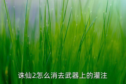 诛仙手游灌注怎么清空，诛仙2怎么消去武器上的灌注