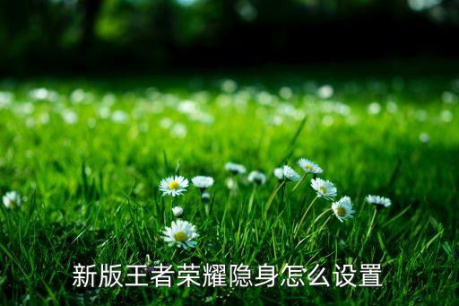 英雄手游怎么隐身，王者荣耀怎么隐身登录 王者荣耀一周三次隐身在线功能