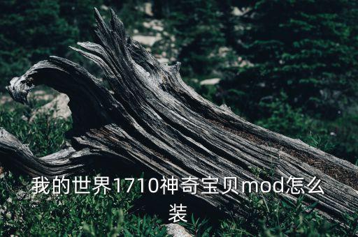 我的世界1710神奇宝贝mod怎么装