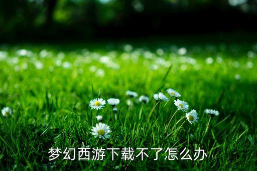 梦幻西游下载不了怎么办