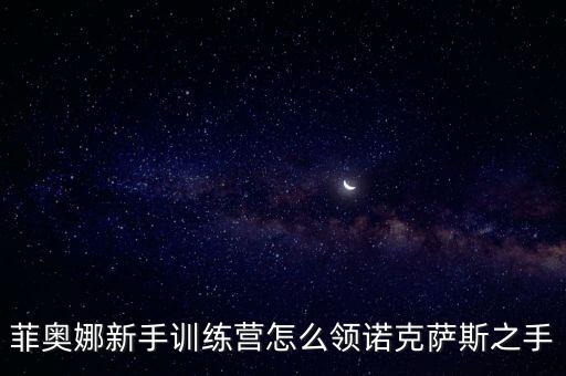菲奥娜新手训练营怎么领诺克萨斯之手