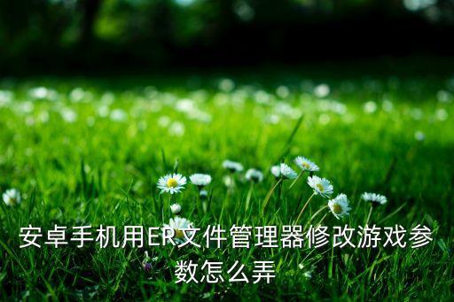 安卓手机用ER文件管理器修改游戏参数怎么弄