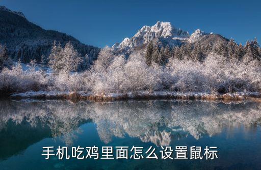吃鸡手游的鼠标怎么放，绝地求生手机版怎么用键盘