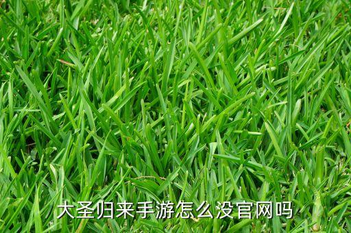 怎么玩下架的大圣归来手游，大圣归来手游怎么没官网吗