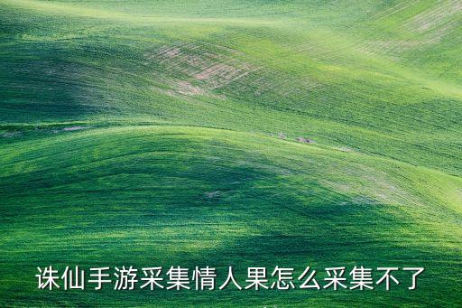 诛仙手游采集情人果怎么采集不了